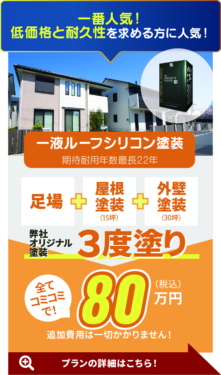 3度塗りプレミアムシリコン塗装 80万円